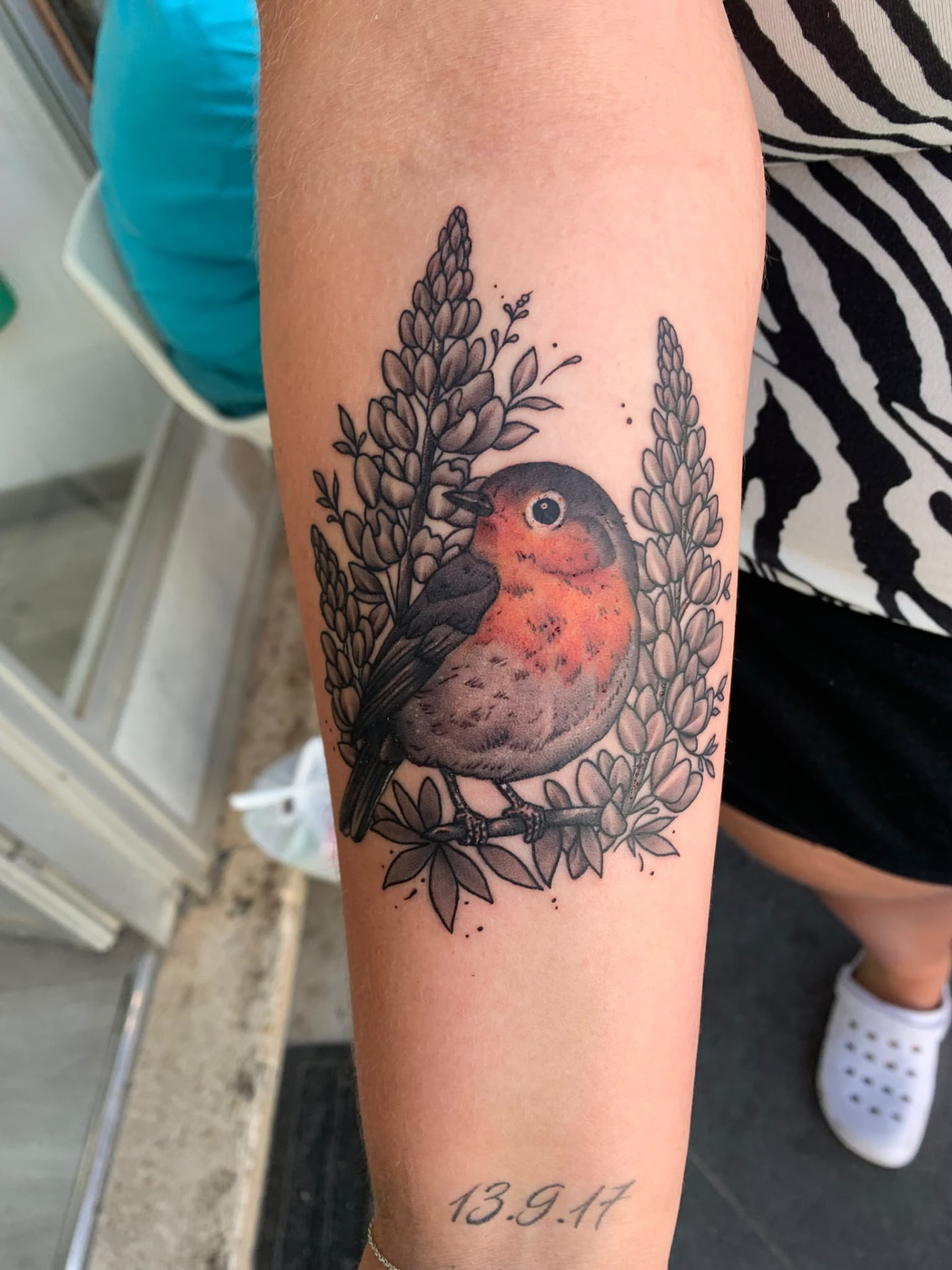 A robin among lupines — soft colour realism